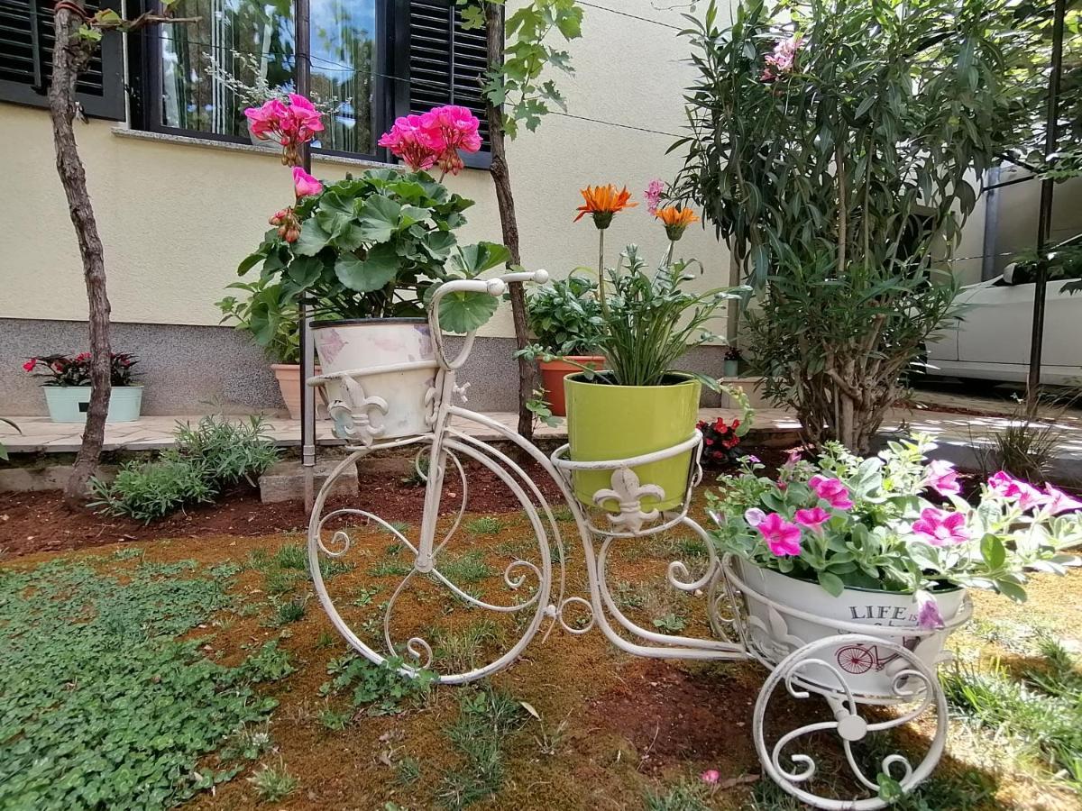 Apartment Oliva Pula Exterior photo