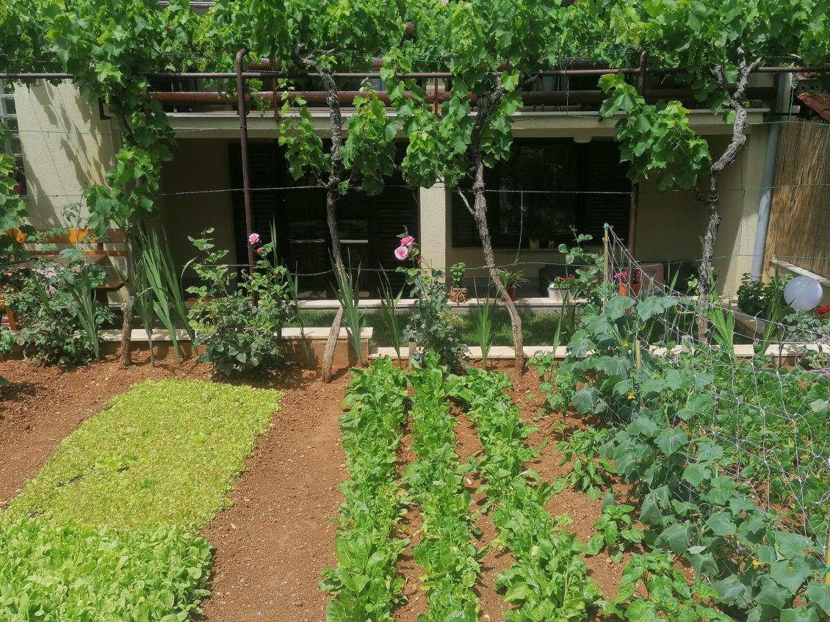 Apartment Oliva Pula Exterior photo